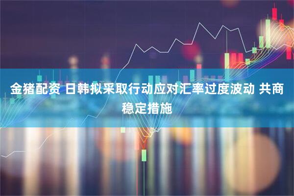 金猪配资 日韩拟采取行动应对汇率过度波动 共商稳定措施