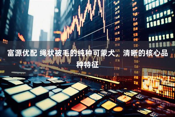 富源优配 绳状被毛的纯种可蒙犬，清晰的核心品种特征