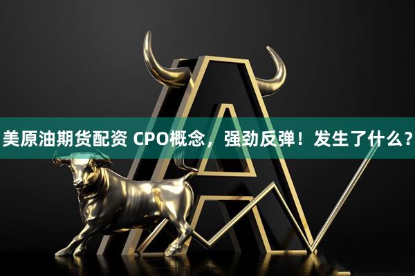 美原油期货配资 CPO概念，强劲反弹！发生了什么？