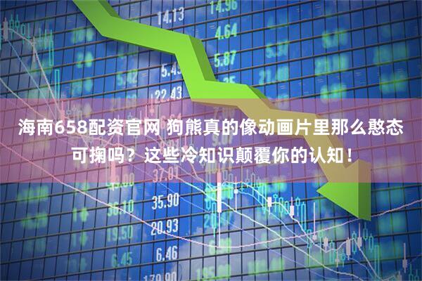海南658配资官网 狗熊真的像动画片里那么憨态可掬吗？这些冷知识颠覆你的认知！
