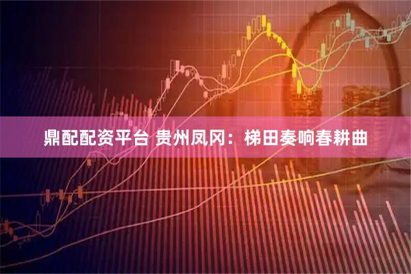 鼎配配资平台 贵州凤冈：梯田奏响春耕曲