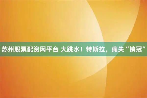 苏州股票配资网平台 大跳水！特斯拉，痛失“销冠”